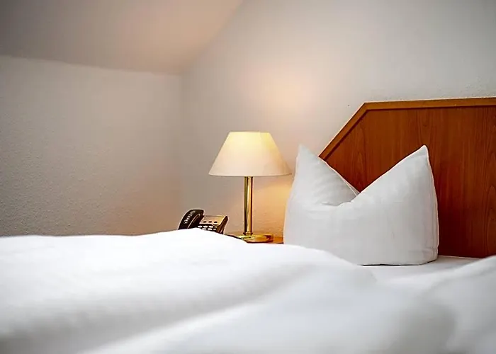 Otel Trip Goethe Messe Frankfurt 3*